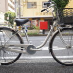 シナモン・JP・ツインロック